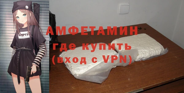 ПСИЛОЦИБИНОВЫЕ ГРИБЫ Строитель