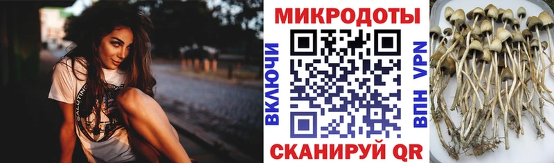 blacksprut ссылка  Орёл  Псилоцибиновые грибы GOLDEN TEACHER  где найти наркотики 