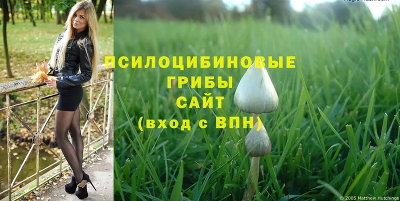 даркнет сайт  Орёл  Псилоцибиновые грибы Cubensis 