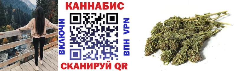 Бошки марихуана план  наркотики  Орёл 